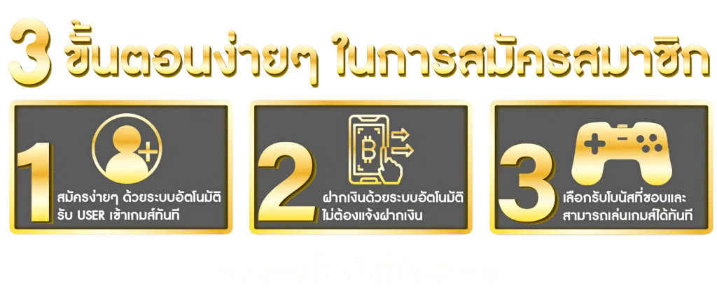 เว็บ 4cmi